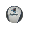 Beloit Sky Carp Baseballs