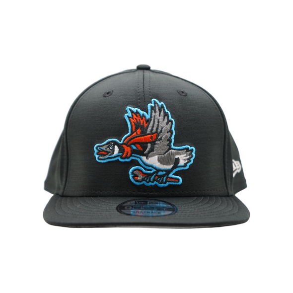 Beloit Sky Carp New Era 9Fifty Home Clubhouse Flat Bill Snapback